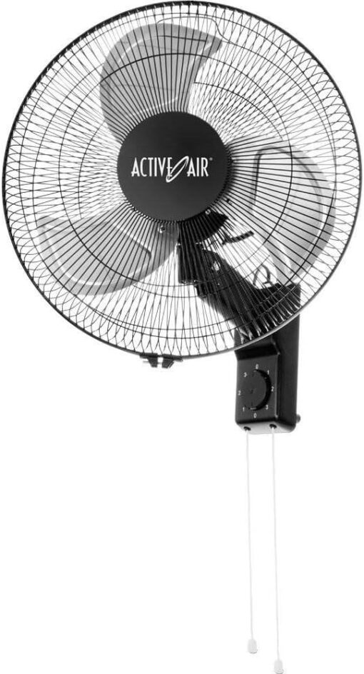 16" Metal Wall Mount Fan