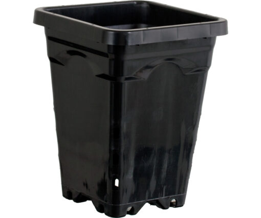 5"x5" Square Black Pot 7" Tall, 100 per case