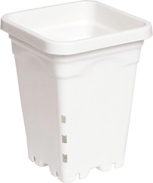 5"x5" Square White Pot, 7" Tall, 100 per case