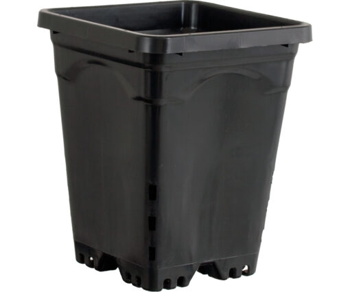 6"x6" Square Black Pot, 8" Tall, 50 per case