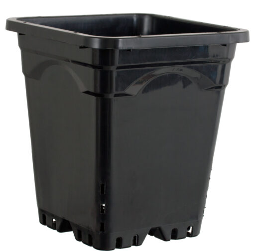 9"x9" Square Black Pot 10" Tall, 24 per case
