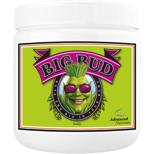 Advanced Nutrients Big Bud Powder 2.5kg