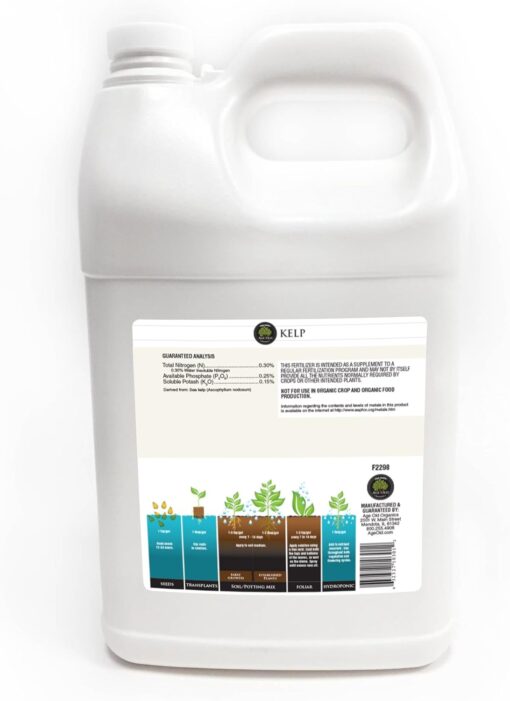 Age Old Kelp, 1 gal - Premier Hydro - Image 2