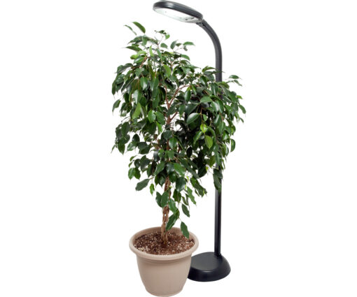 Floor Plant Light w/ 27w CFL - Image 3