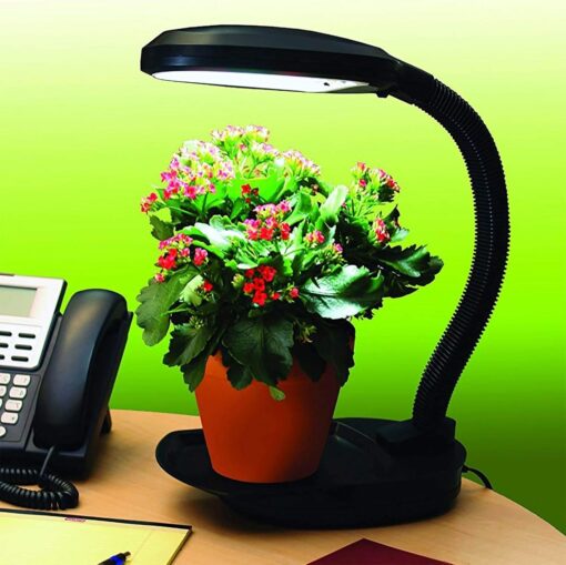 Desktop Plant Light w/ 27w CFL - Image 3