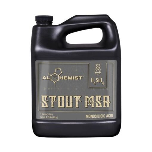 Alchemist Stout MSA Gallon