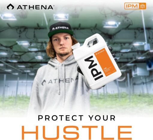 Athena IPM 32oz - Image 5