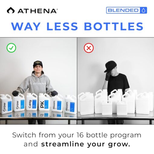 Athena Bloom Part A Gallon - Image 4