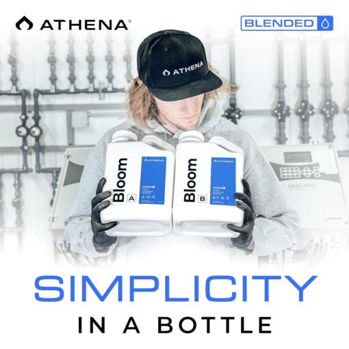 Athena Bloom Part A Gallon - Image 6
