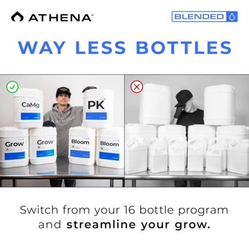Athena Bloom Part B 5 Gallon - Image 4