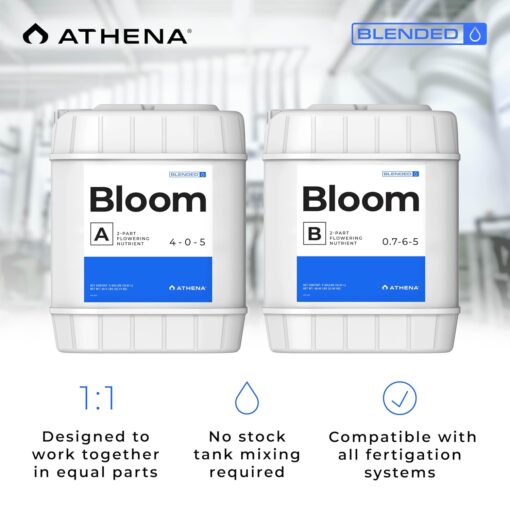 Athena Bloom Part B 5 Gallon - Image 6