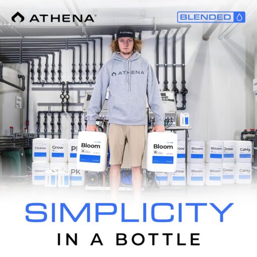 Athena Bloom Part B 5 Gallon - Image 7