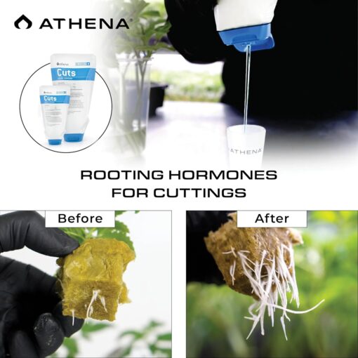 Athena Cuts 7oz - Image 2