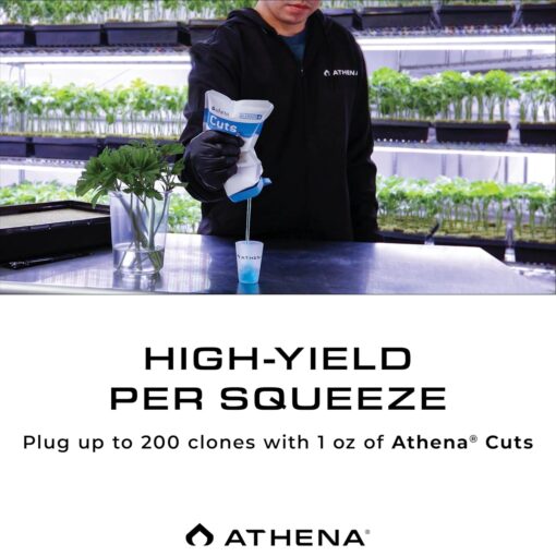 Athena Cuts 7oz - Image 5