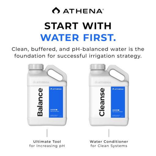 Athena Balance Gallon - Image 2