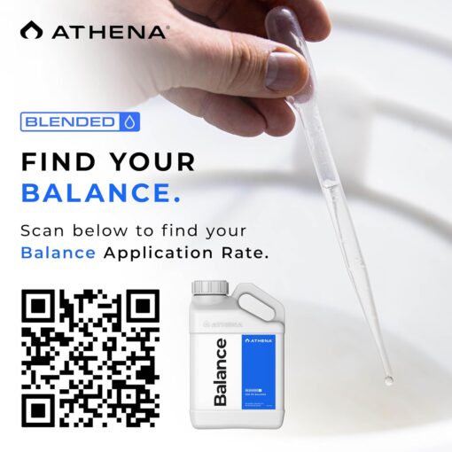 Athena Balance Gallon - Image 5