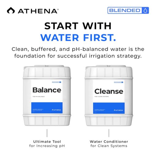 Athena Balance 5 Gallon - Image 2