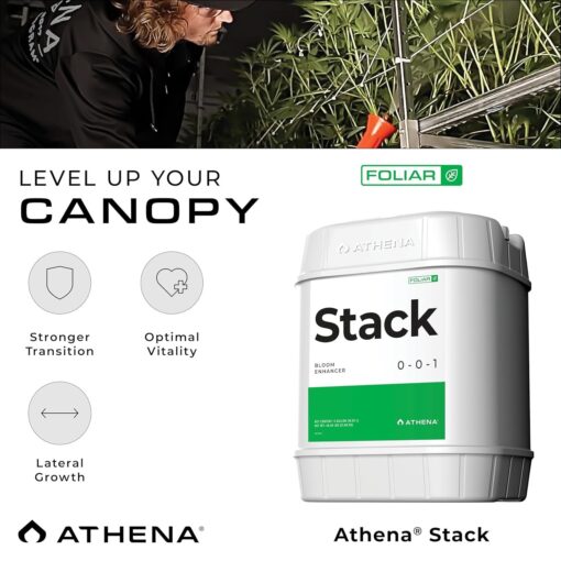 Athena Stack Gallon - Image 2