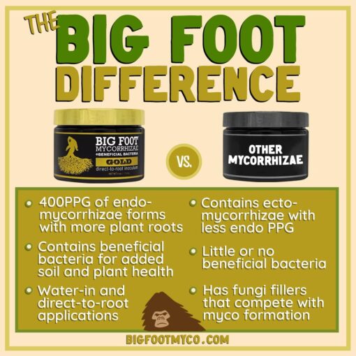 Big Foot Mycorrhizae Gold, 32 oz - Premier Hydro - Image 4