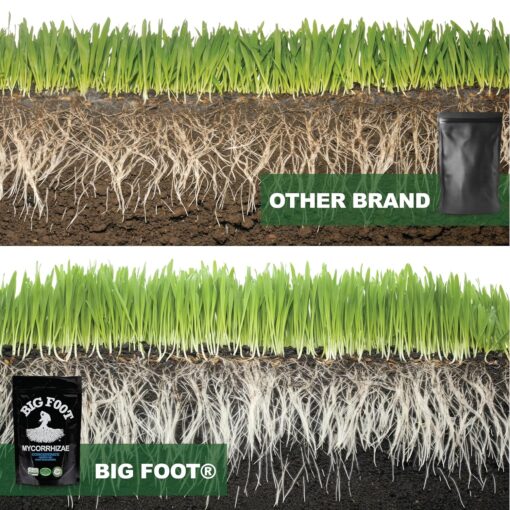 Big Foot Mycorrhizae Concentrate, 4 oz - Premier Hydro - Image 4