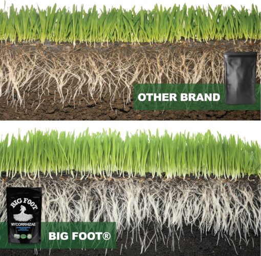 Big Foot Mycorrhizae Concentrate, 8 oz - Premier Hydro - Image 6