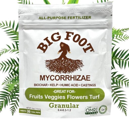 Big Foot Mycorrhizae Granular, 4 oz - Premier Hydro