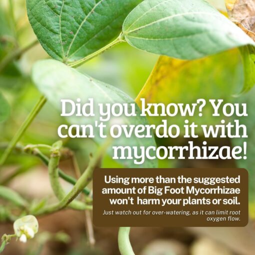 Big Foot Mycorrhizae Granular, 2 lb - Premier Hydro - Image 6