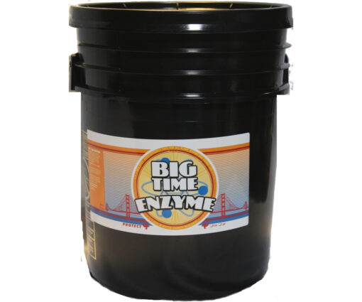 Big Time Enzyme 5 Gal
