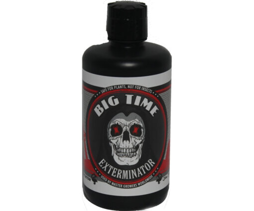 Big Time Exterminator Qt