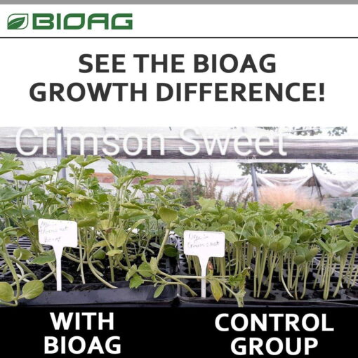 BioAg VAM Endo-Mix™, 1 kg - Premier Hydro - Image 4