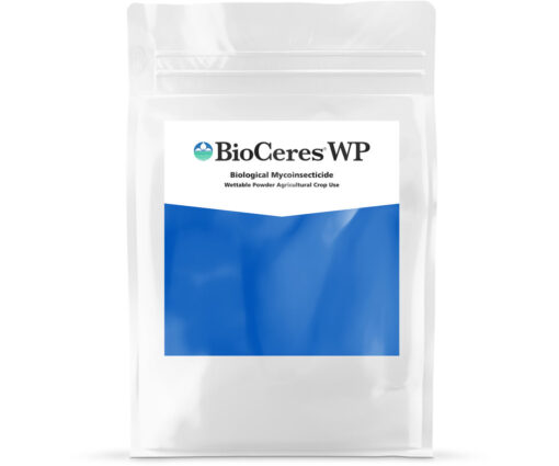 BioSafe BioCeres WP, 1 lb - Premier Hydro