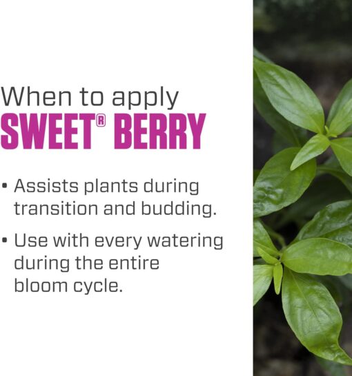 Botanicare Sweet Berry Quart - Image 5