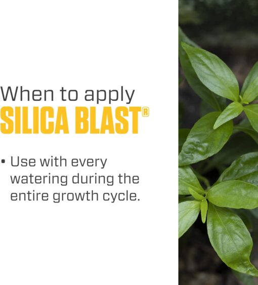 Botanicare Silica Blast Quart - Image 6