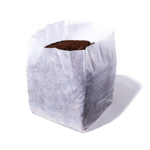 Char Coir BioPot, 3 L, case of 24