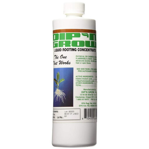 Dip 'n Grow, 16 oz - Premier Hydro