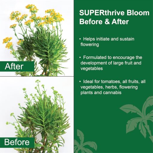 Dyna-Gro Liquid Bloom Quart - Image 4