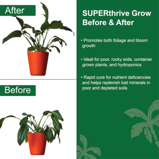 Dyna-Gro Liquid Grow Gallon - Image 4