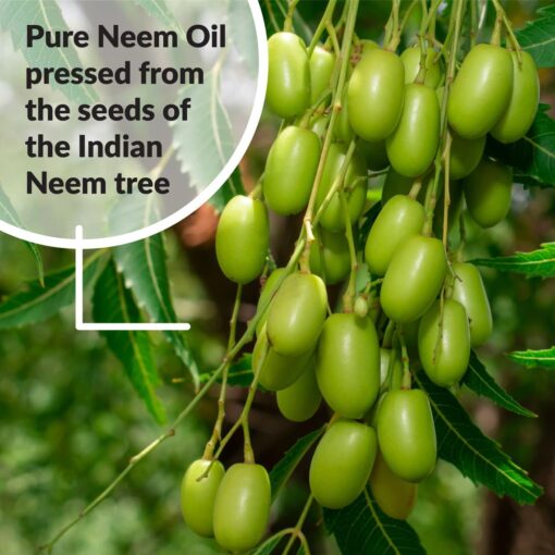 Dyna-Gro Pure Neem Oil 8 oz - Image 6