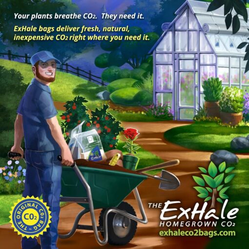 ExHale 365-Self Activated CO2 Bag - Image 7