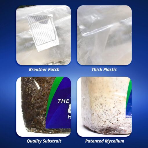 ExHale 365-Self Activated CO2 Bag - Image 8