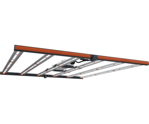 FANG, 120-277V, 6' AC, NEMA 6-15P, 2-Point Lance, Dimmer - Premier Hydro