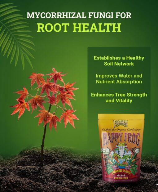 FoxFarm Happy Frog¬Æ Japanese Maple Fertilizer, 4 lb bag - Image 4