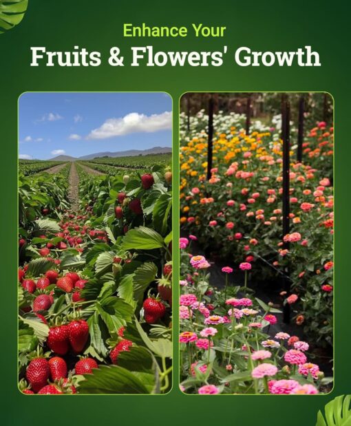 FoxFarm Cultivation Nation Bloom, 1 pt - Premier Hydro - Image 5