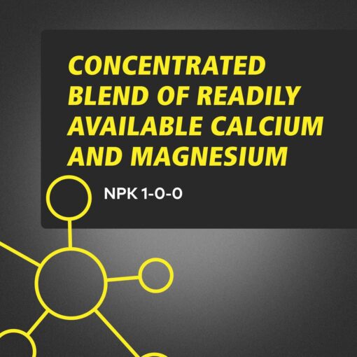 GH CALiMAGic Quart - Image 2