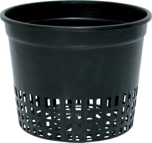 5" Net Cup, bag of 50 - Image 2