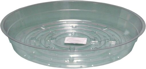 Clear 12 inch Saucer, pack of 10