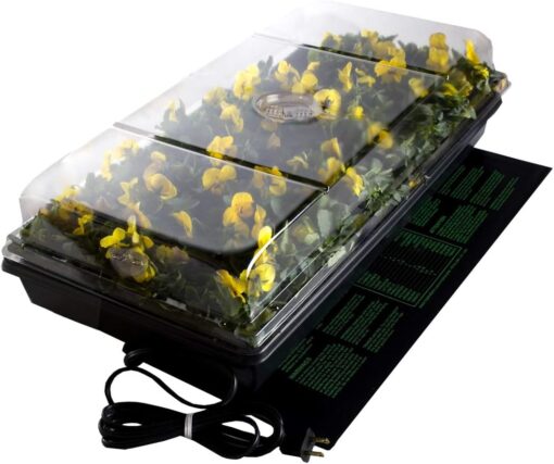 Germination Station