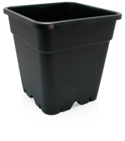 The Giant Pot