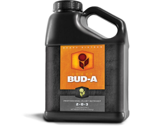 Heavy 16 Bud Part A Gallon