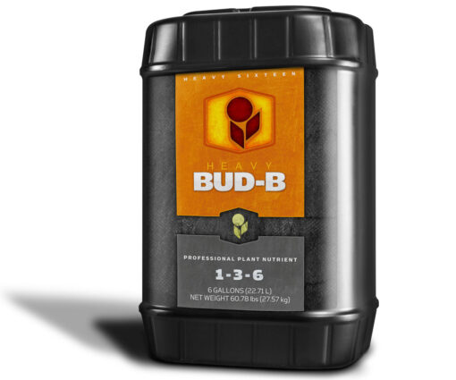 Heavy 16 Bud Part B 6 Gallon